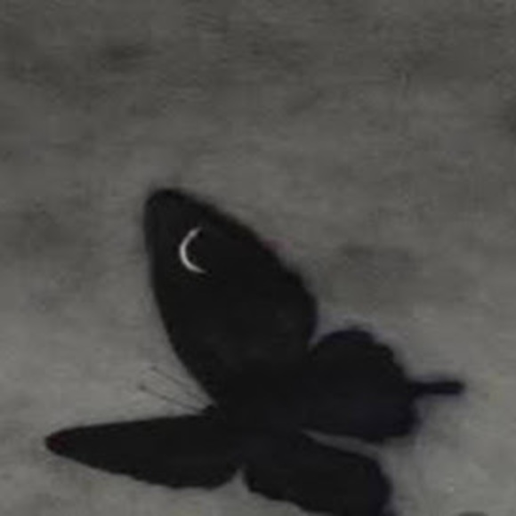 Meet your Posher, Ann - Picture 1 of 1